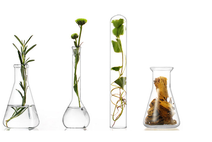 china cosmetics factory