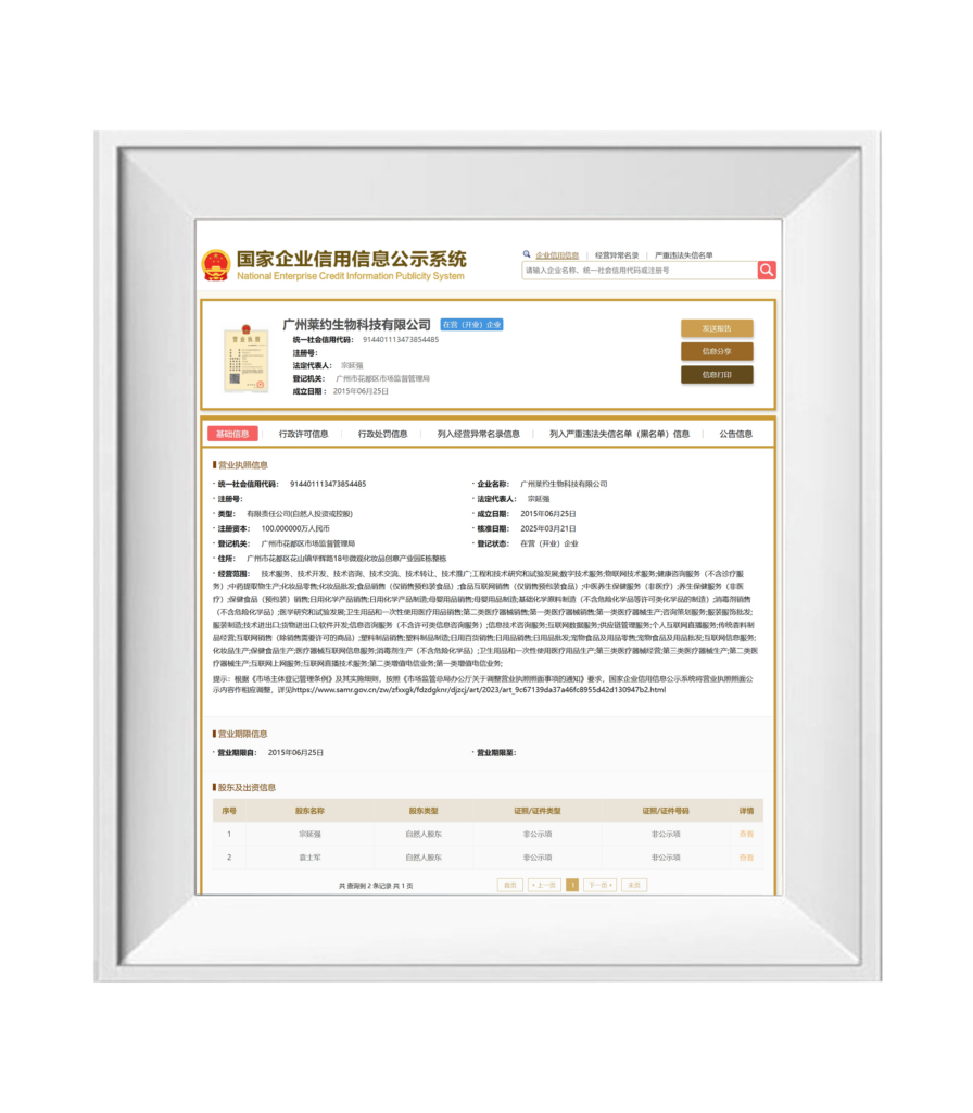 National Enterprise Credit Information Publicity System