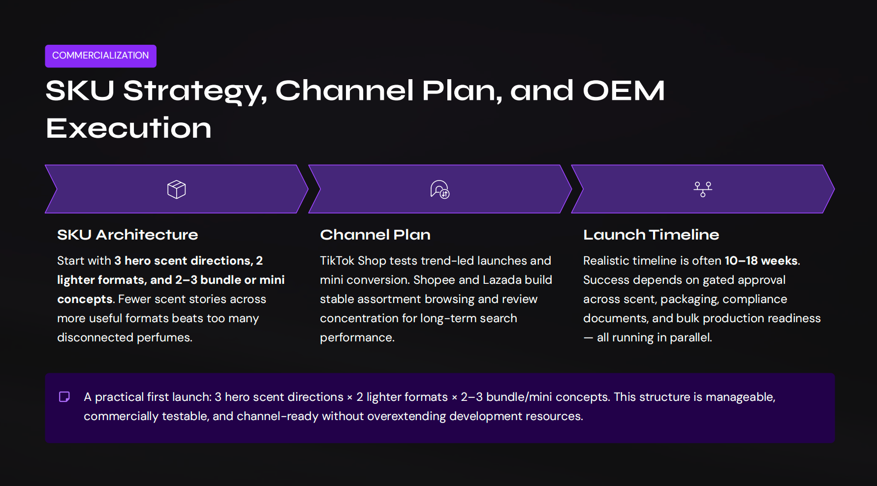 SKU Strategy, Channel Plan, and OEM Execution