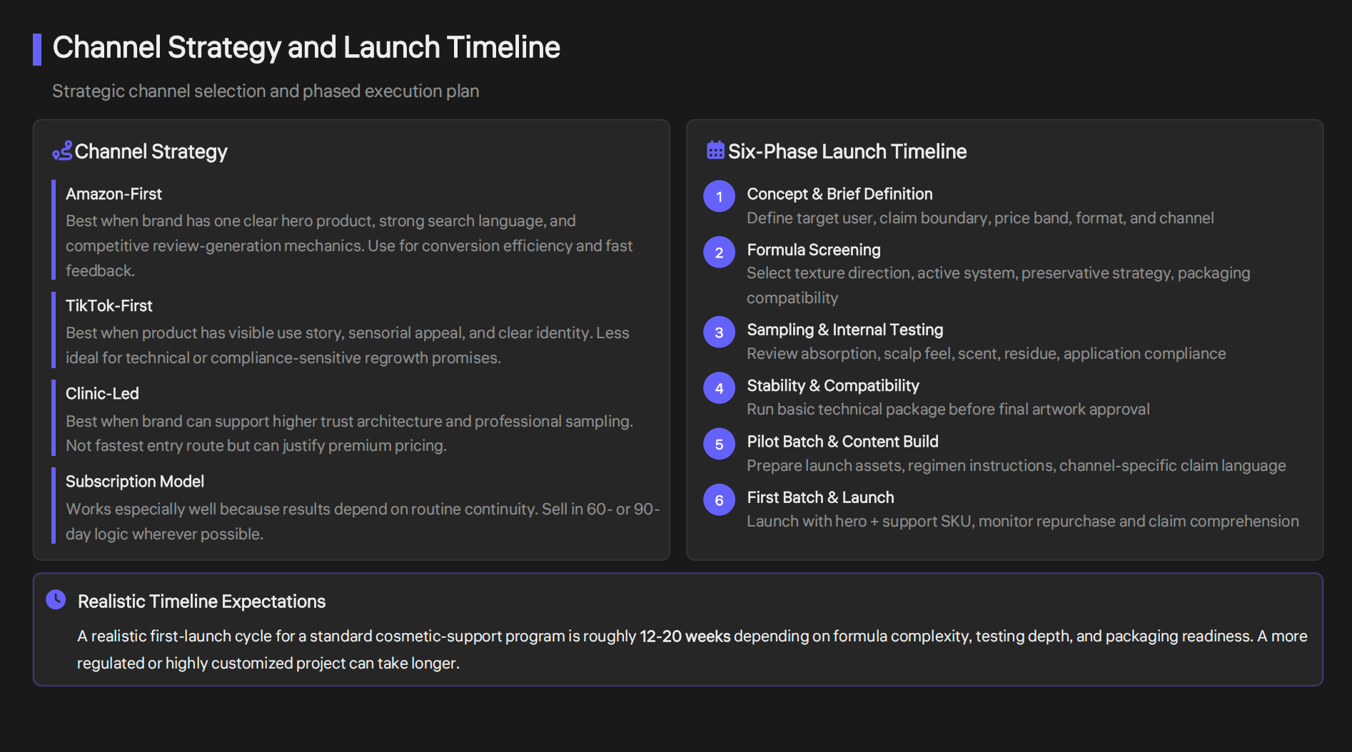 Channel Strategy and Launch Timeline