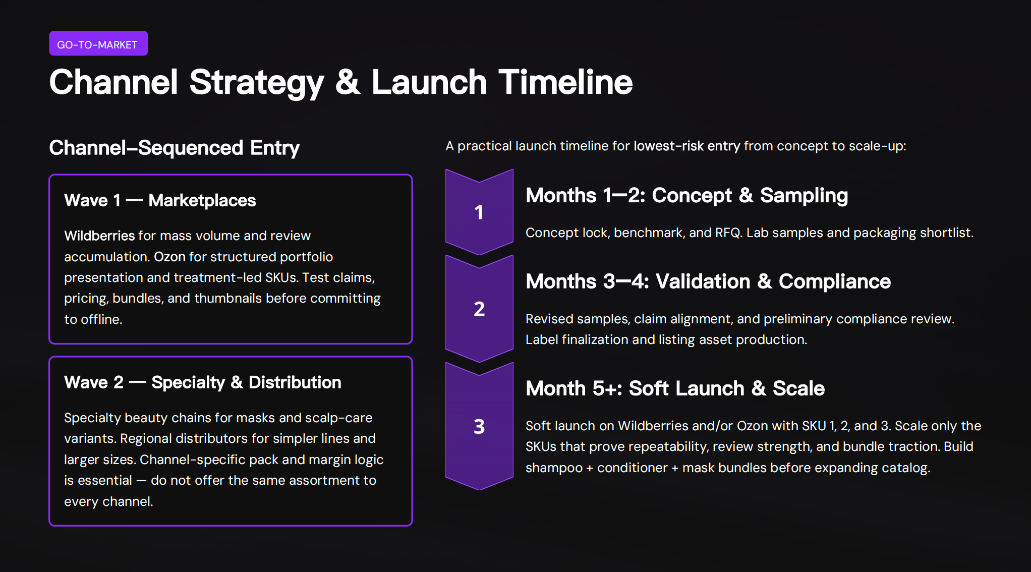 Channel Strategy & Launch Timeline