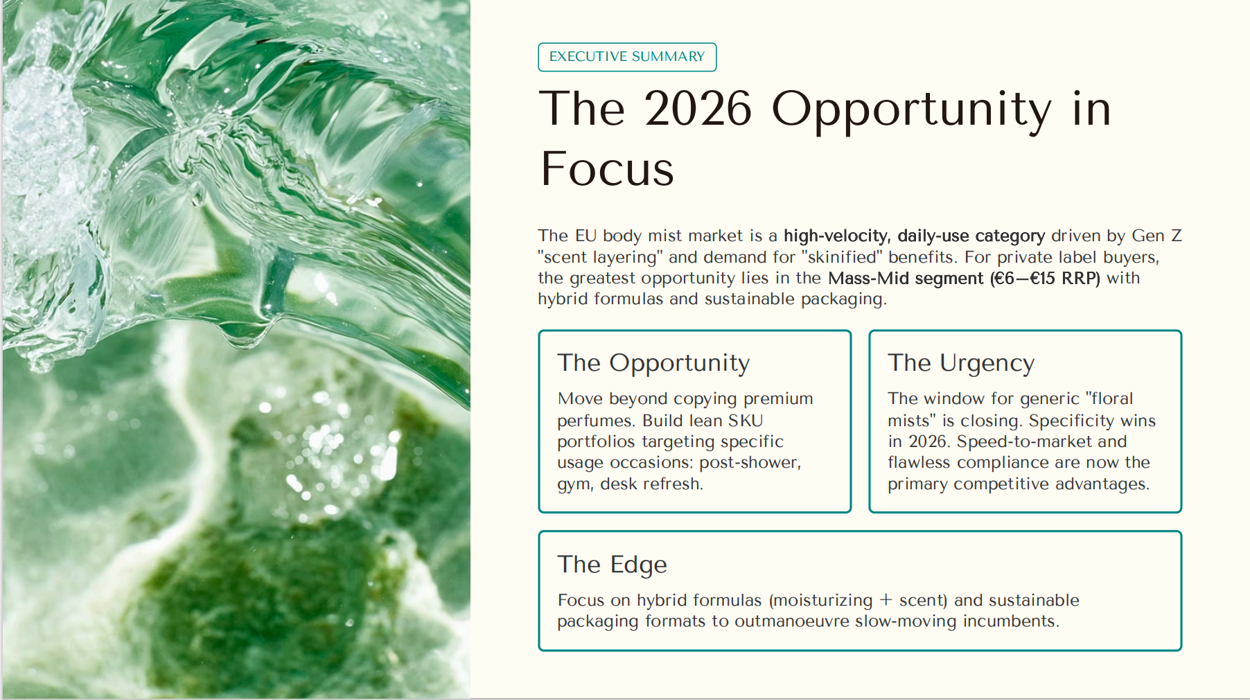 The 2026 Opportunity in Focus