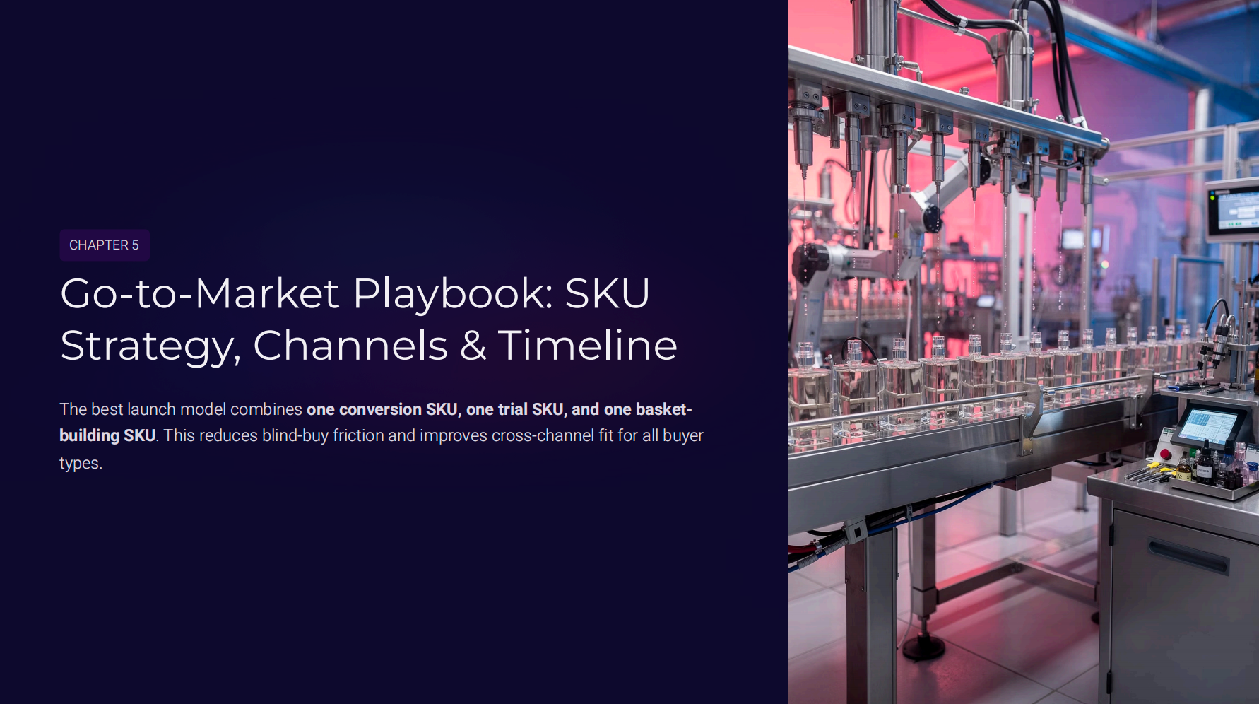 Go-to-Market Playbook: SKU Strategy, Channels & Timeline