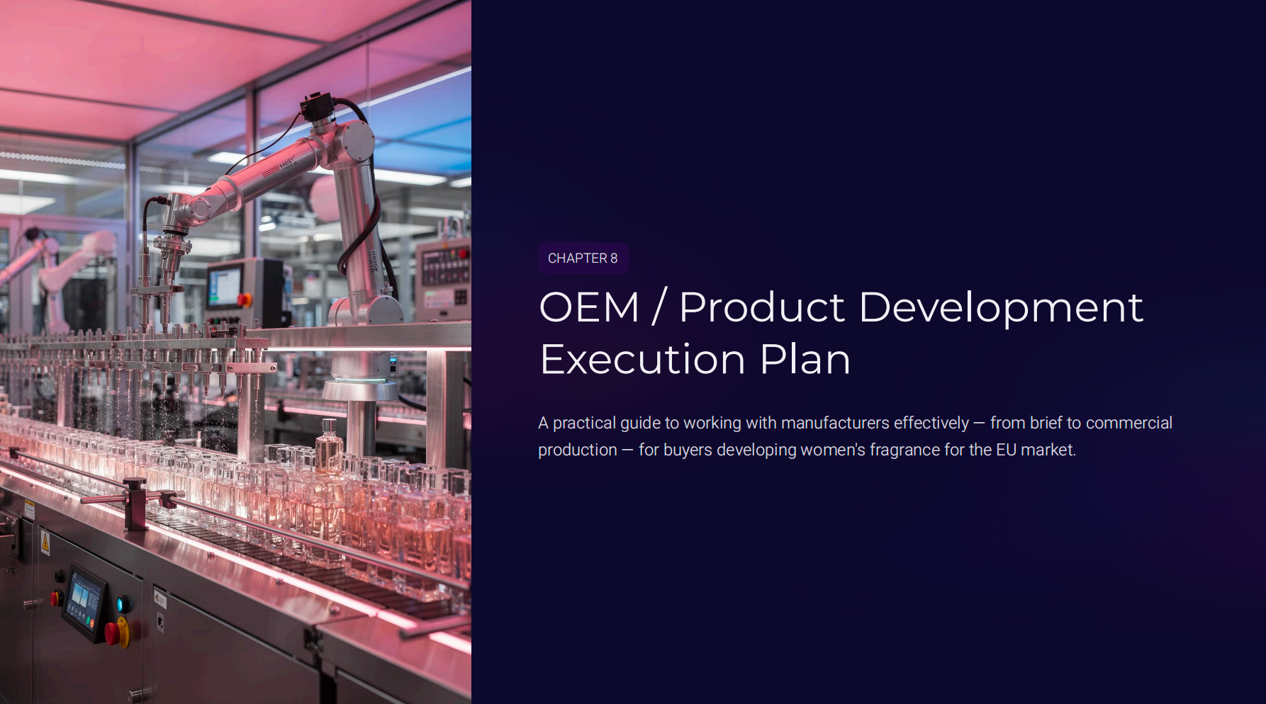 OEM / Product Development Execution Plan