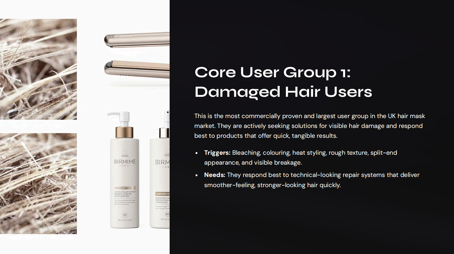 Core User Group 1: Damaged Hair Users
